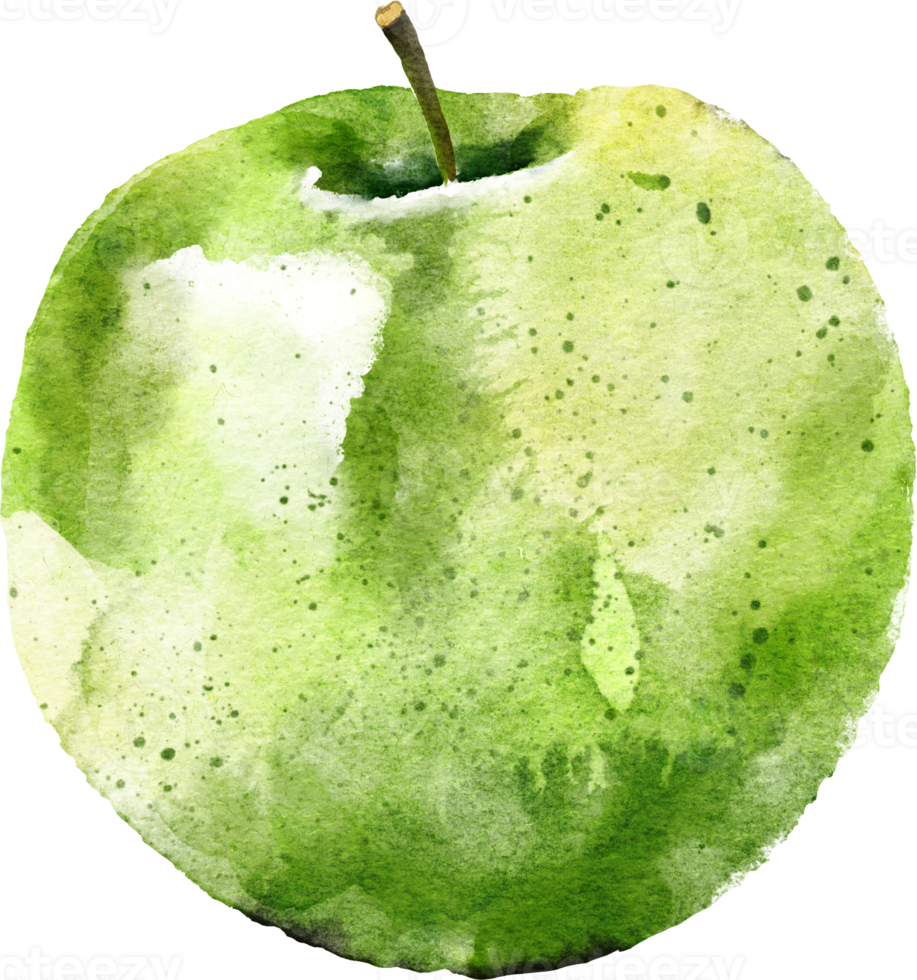 Green apple hand drawn watercolor painting png