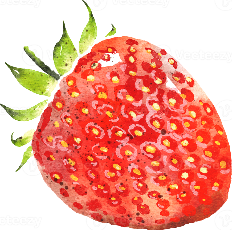 strawberry hand drawn watercolor painting png