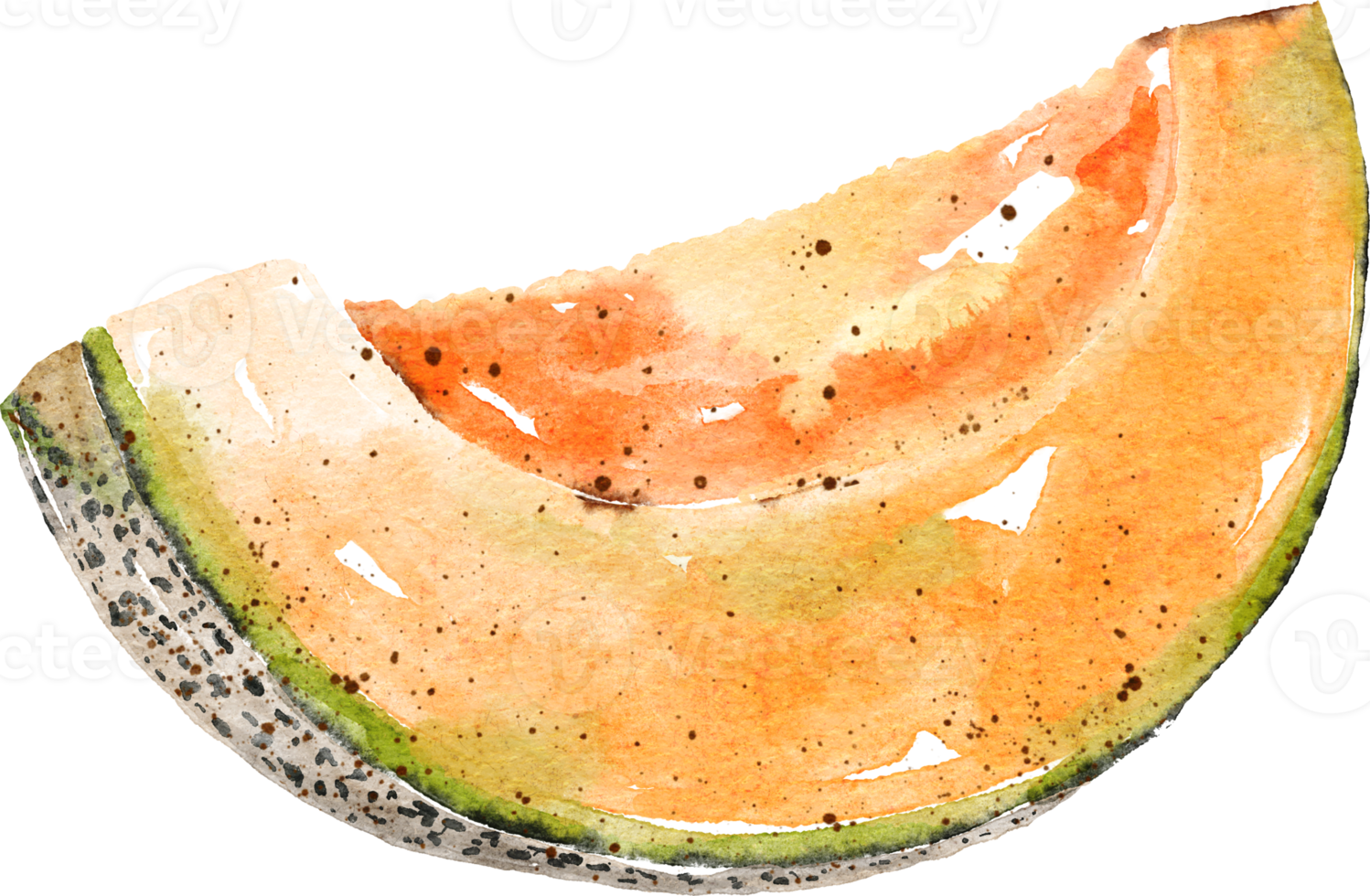 Melon sliced hand drawn watercolor painting png