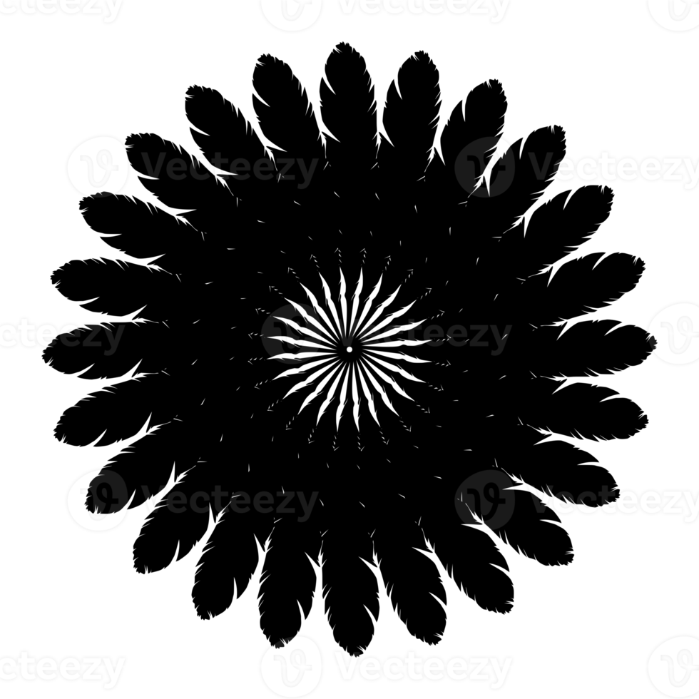 forme de cercle ornemental faite par la composition de plumes pour la décoration, l'ornement, le site Web, l'illustration d'art, l'arrière-plan, le papier peint, le logo ou l'élément de conception graphique. formatpng png