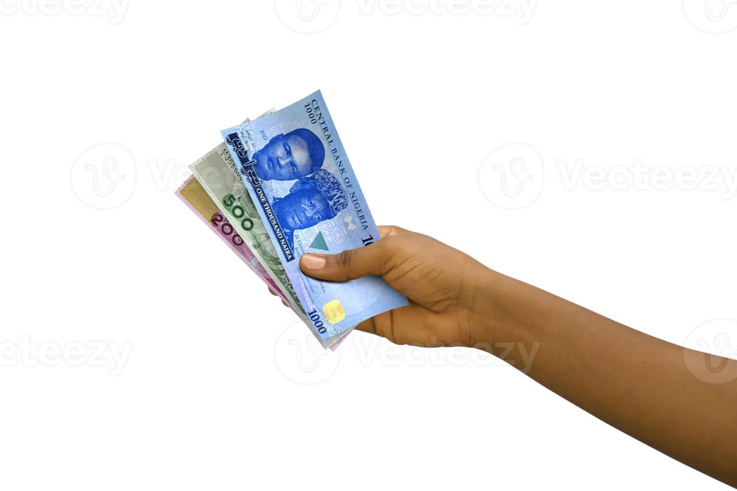 Fair hand holding new 3D rendered Nigerian Naira notes isolated on transparent background png