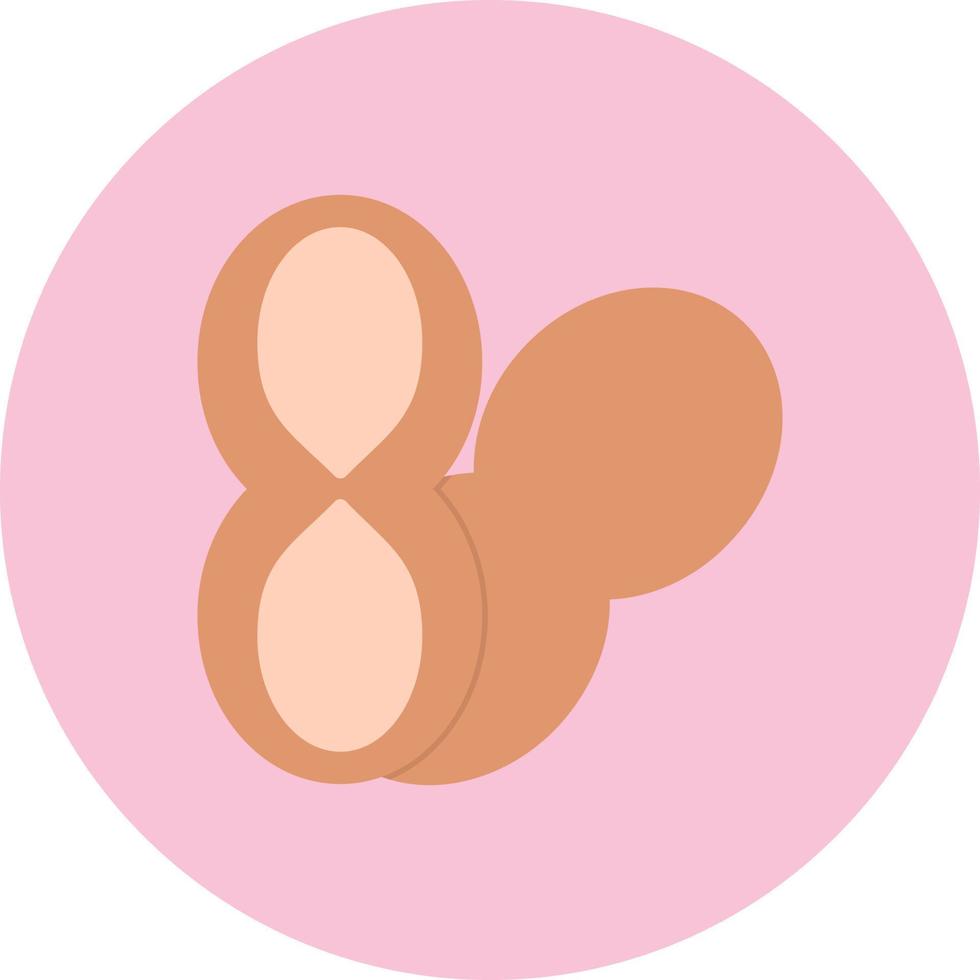 Peanut Vector Icon