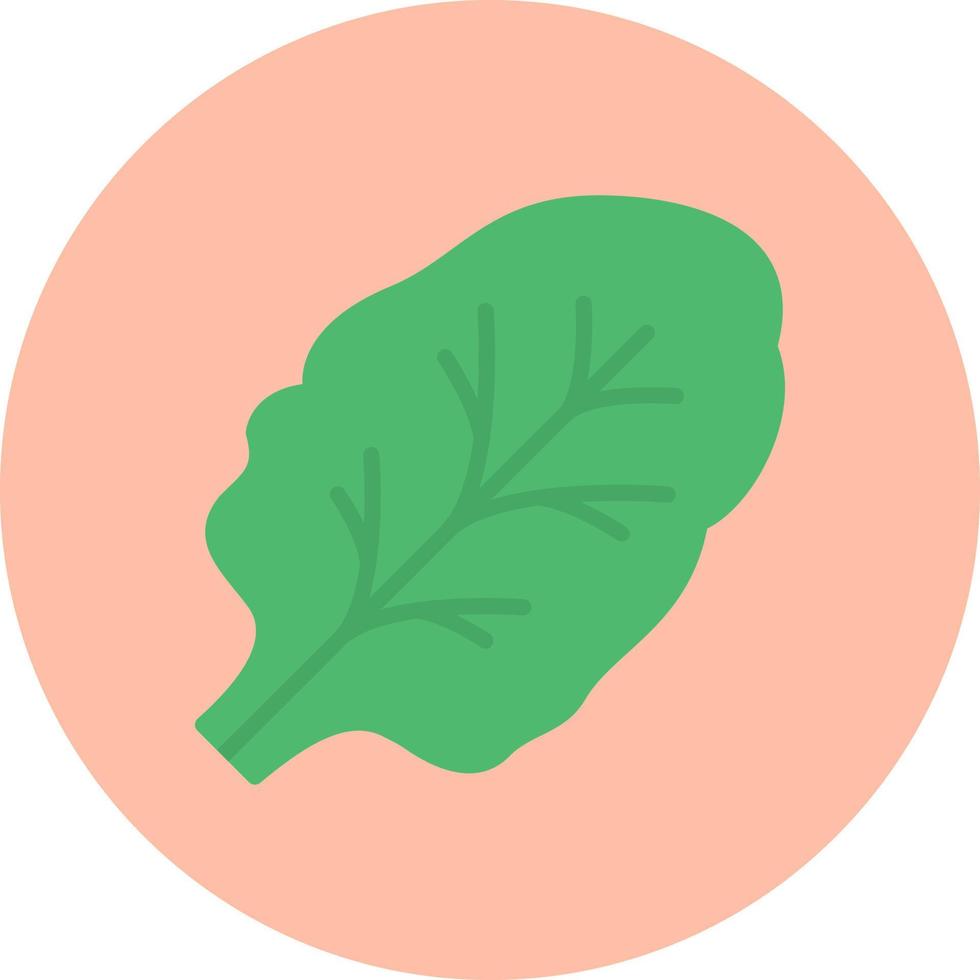 Chard Vector Icon