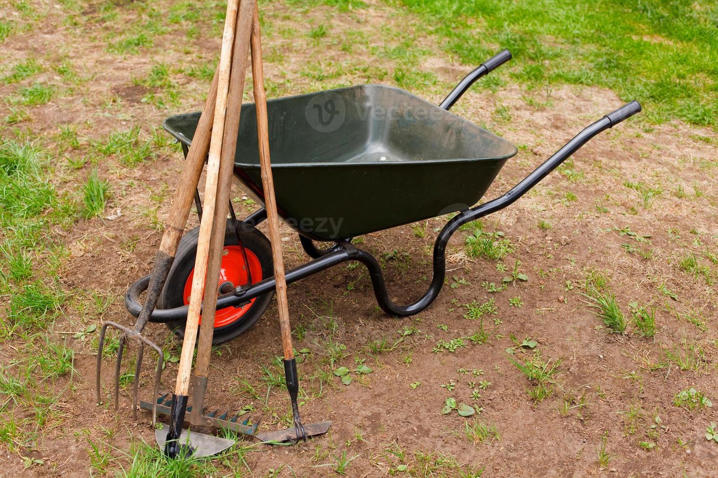 Wheelbarrow in a garden photo