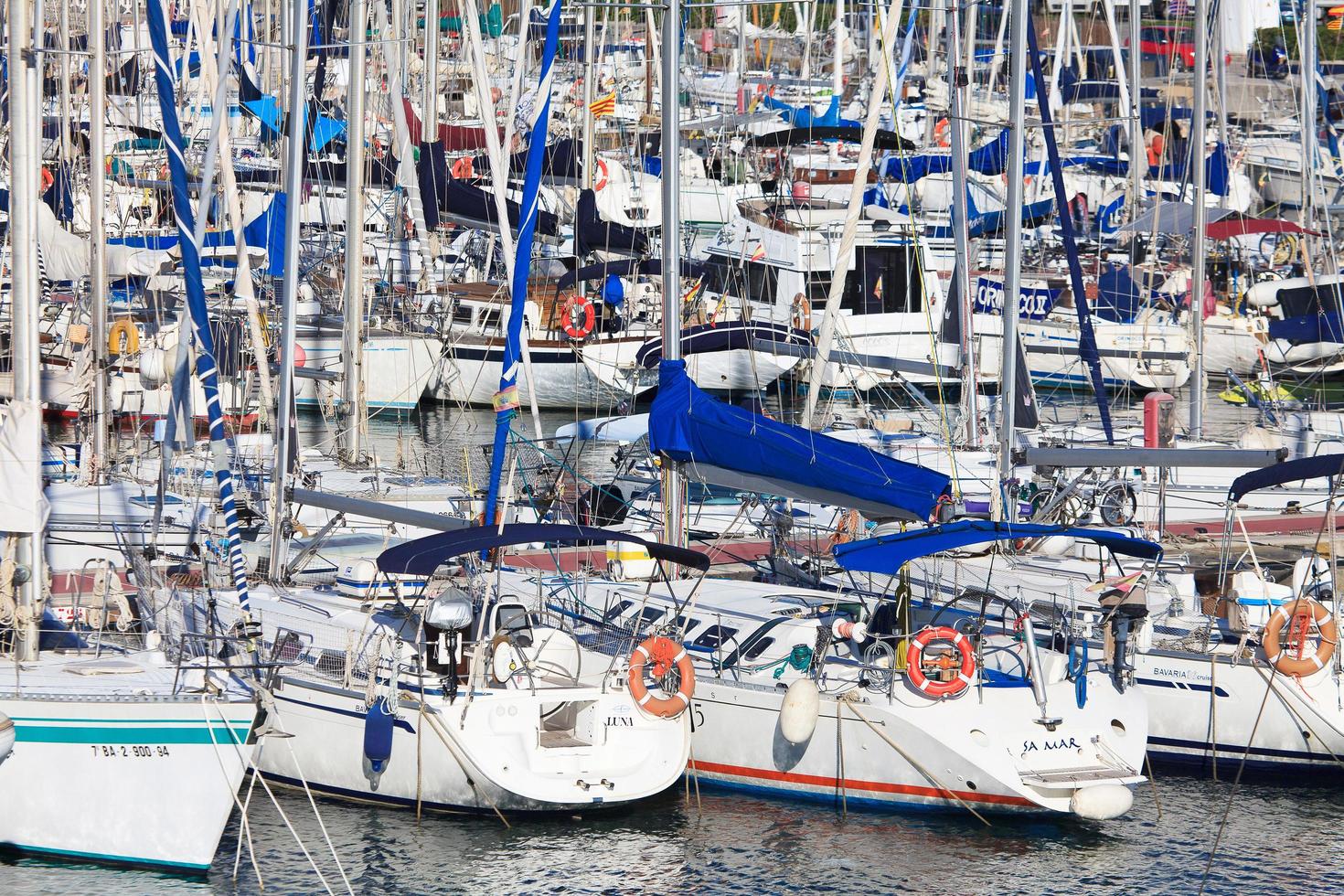 White yachts on an anchor in harbor photo