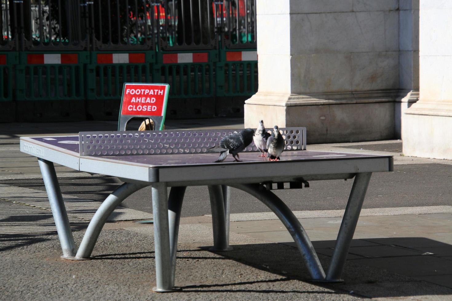 A view of a Pigeon photo