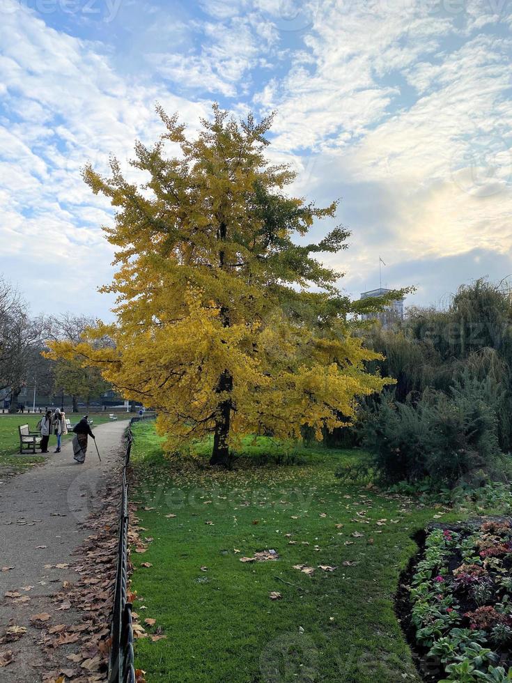 A view of St James Park in London in the Autumn photo