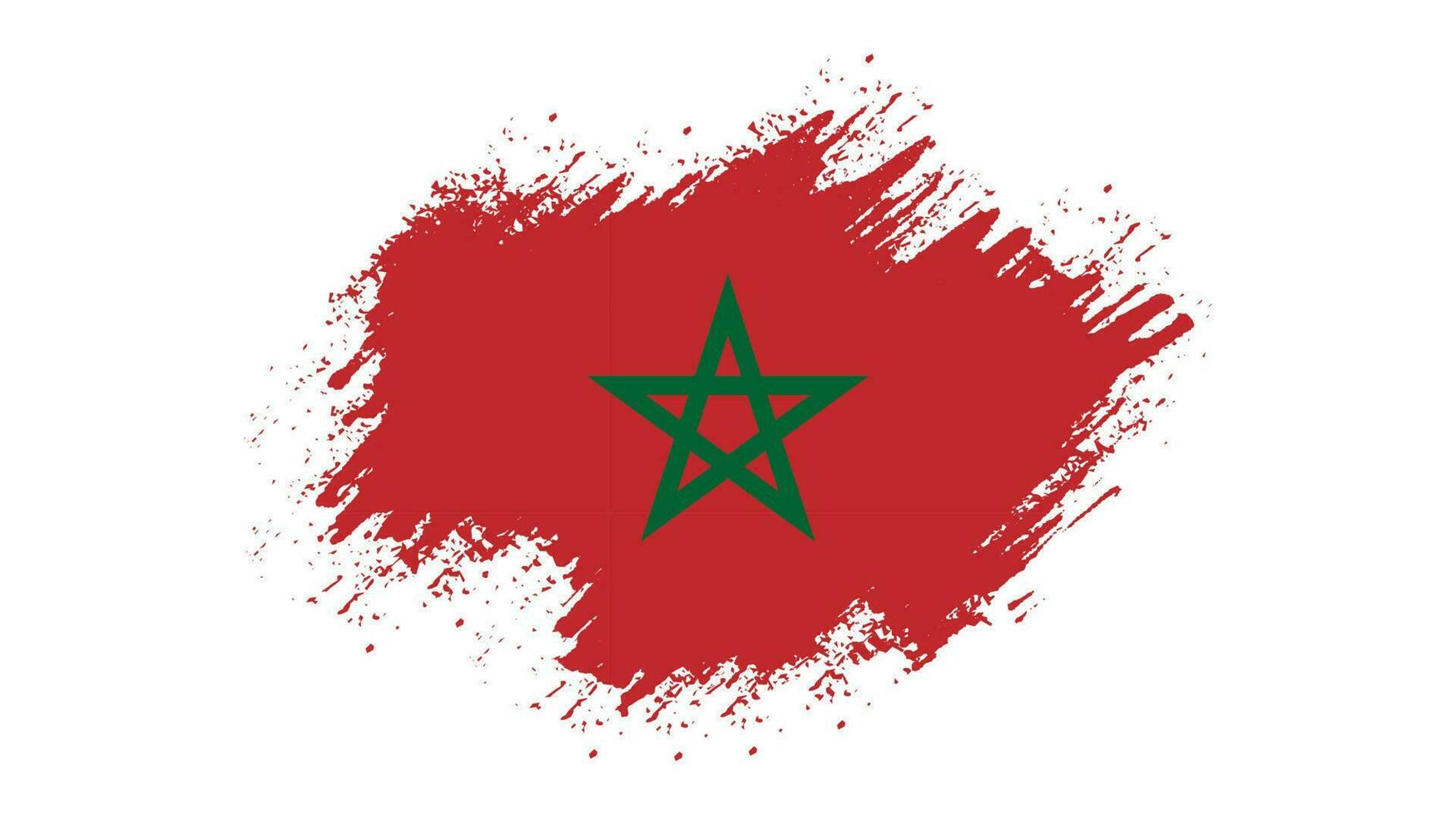 Modern brush stroke Morocco flag vector