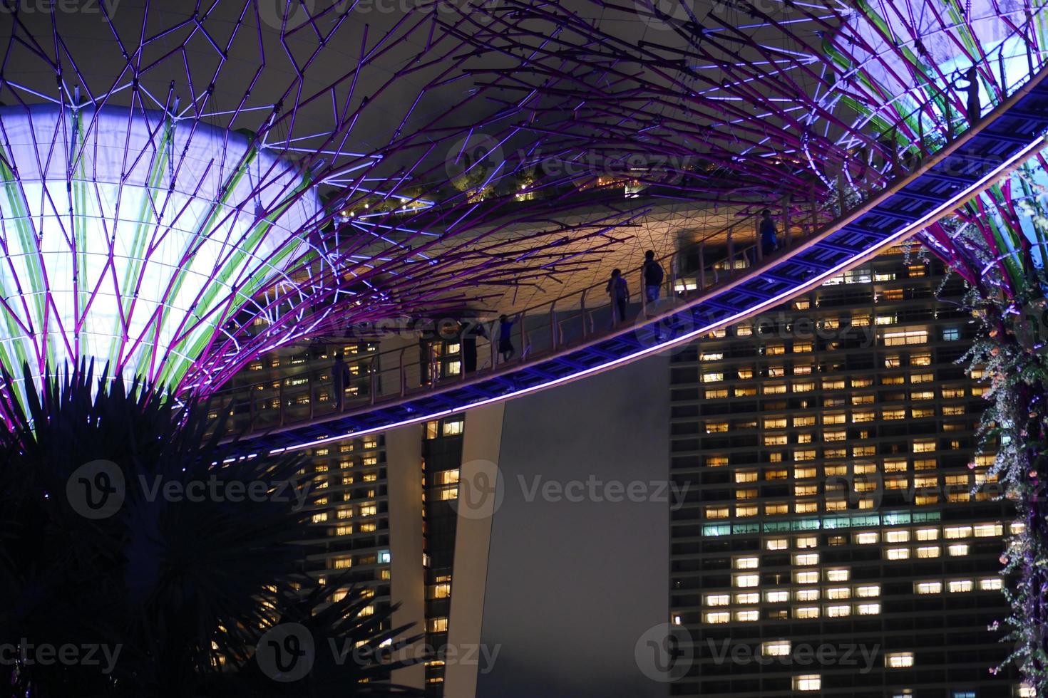 singapur 10 de junio de 2022. iluminación en jardines junto a la bahía por la noche foto