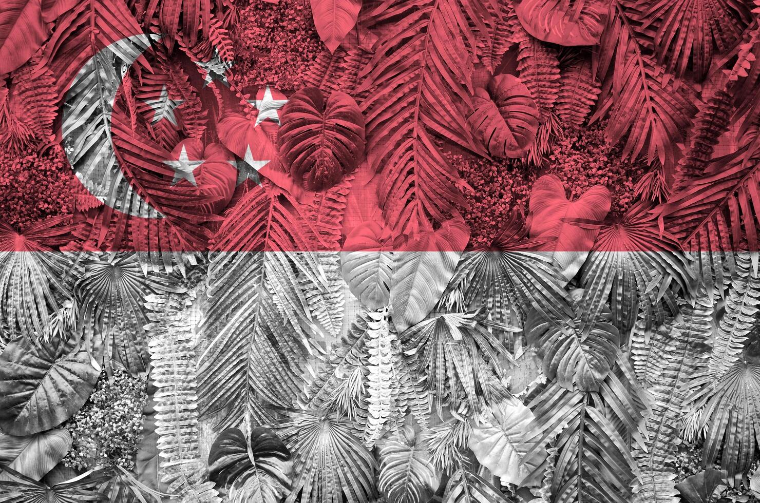 Singapore flag depicted on many leafs of monstera palm trees. Trendy fashionable backdrop photo