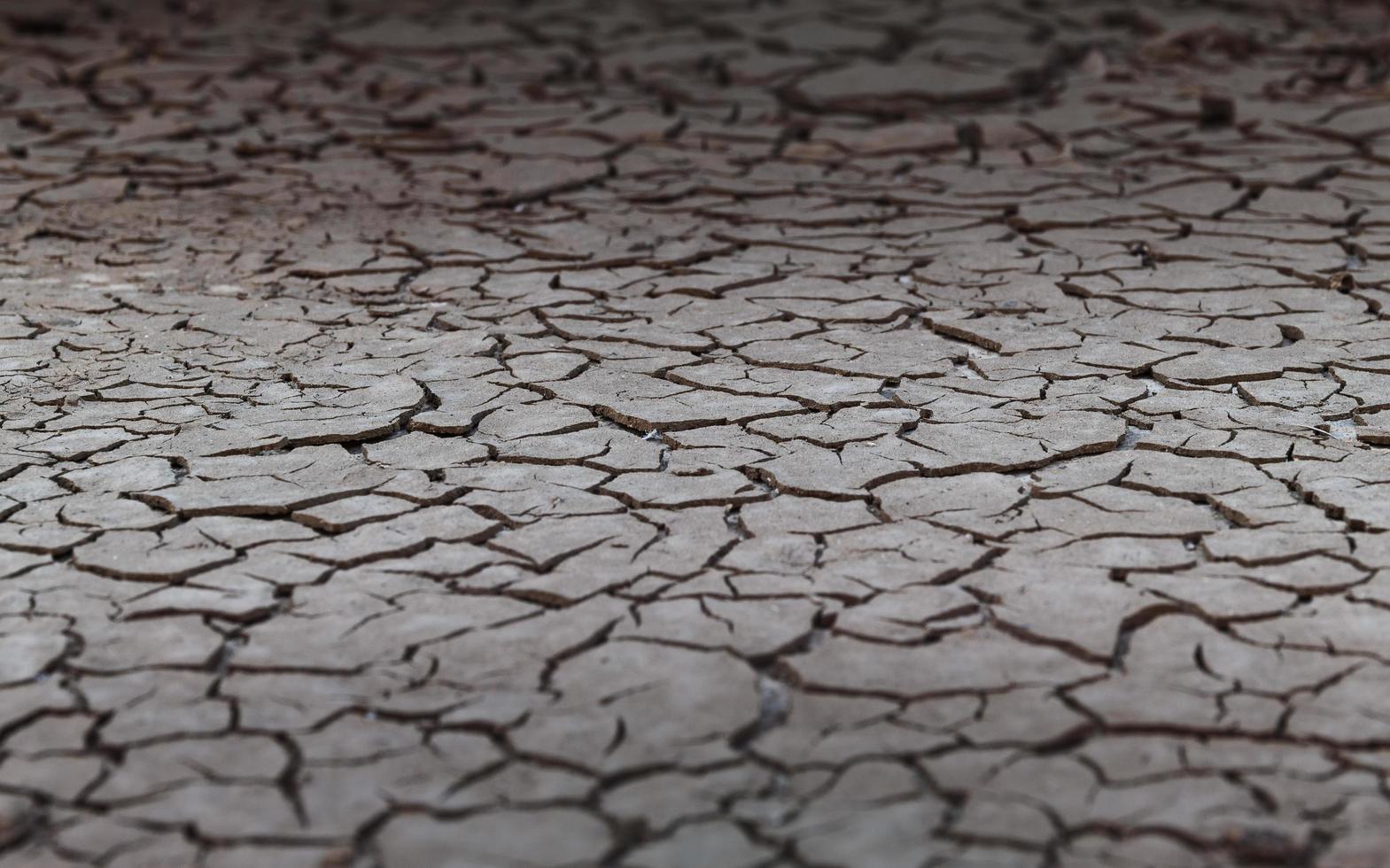 cerrar la textura desgastada del suelo árido y agrietado foto