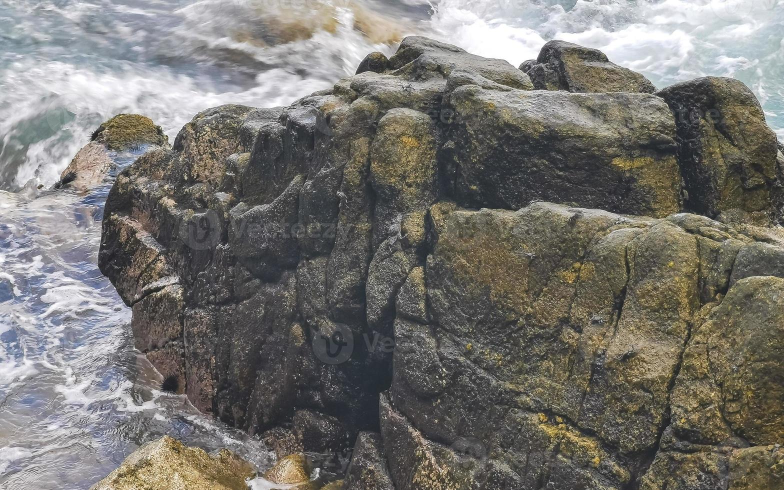 Rocks stones in water with sea urchins Puerto Escondido Mexico. photo