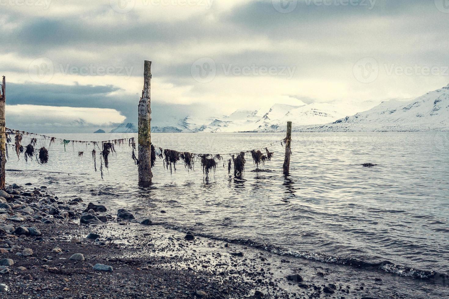 Weathered poles on sea beach landscape photo