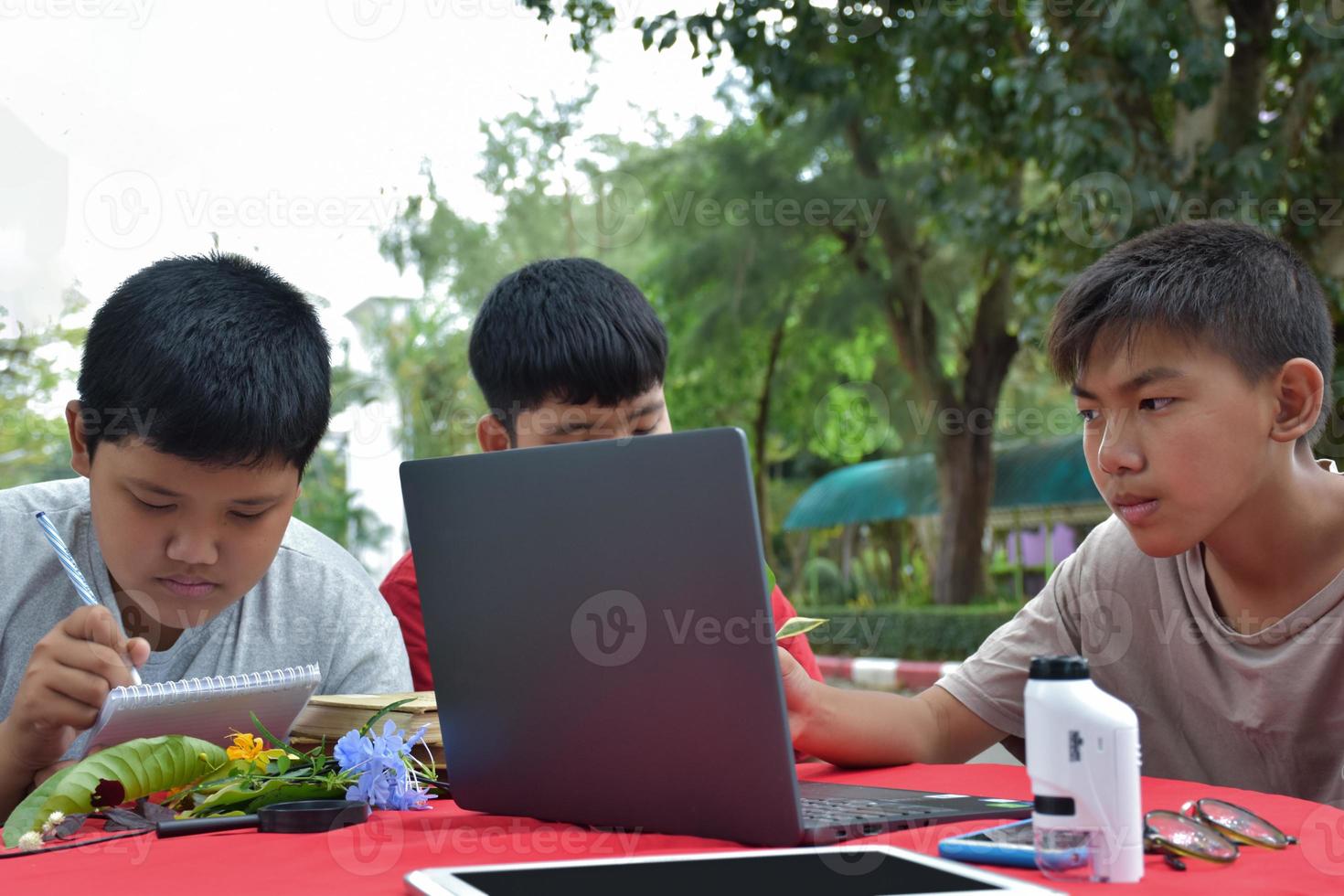 Young Asian boys doing homework and do the reports about various species of tropical forests by using laptops, magnifiers, notebooks, pocket binoculars and tablets, mockup laptop concept. photo