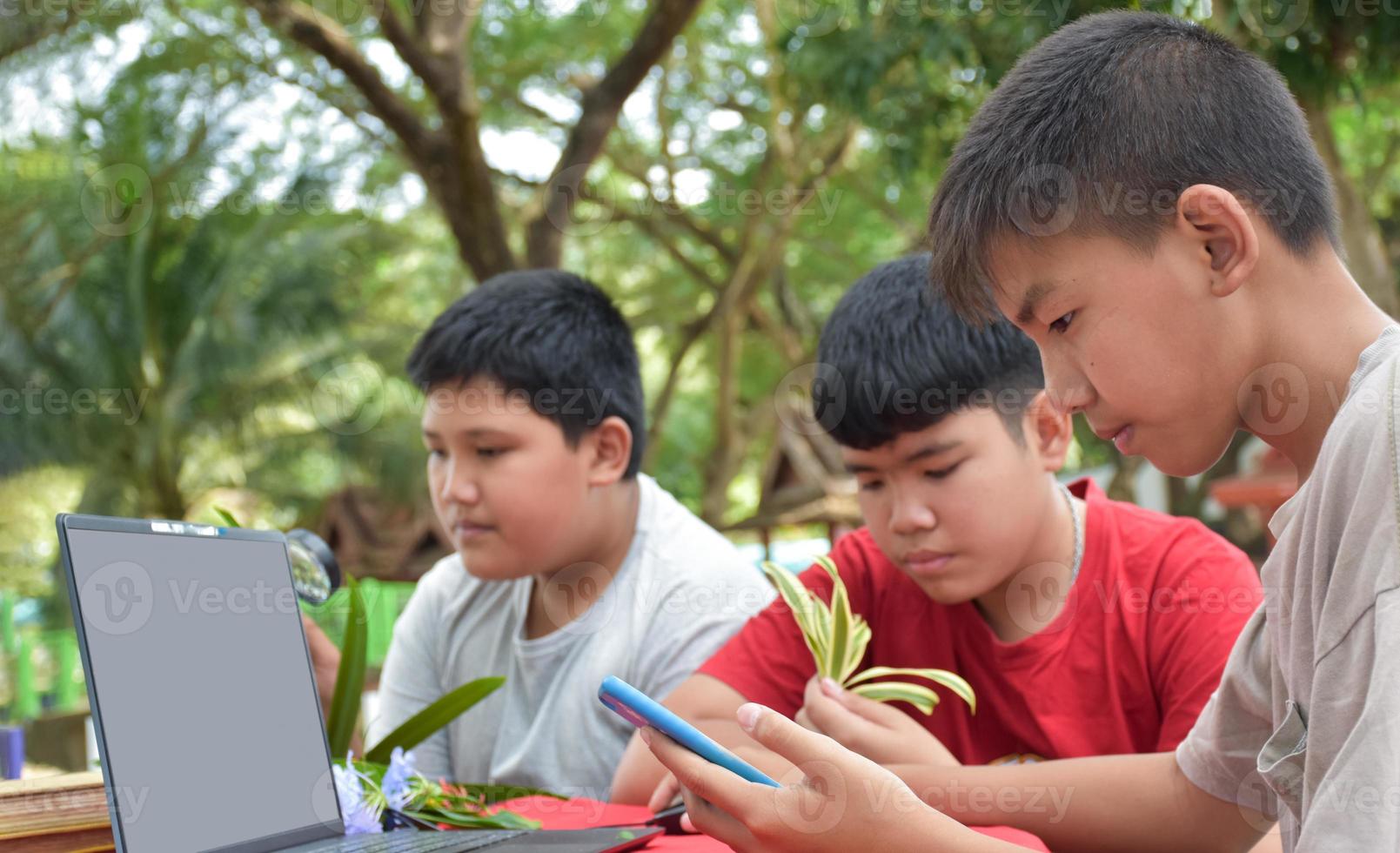 Young Asian boys doing homework and do the reports about various species of tropical forests by using laptops, magnifiers, notebooks, pocket binoculars and tablets, mockup laptop concept. photo