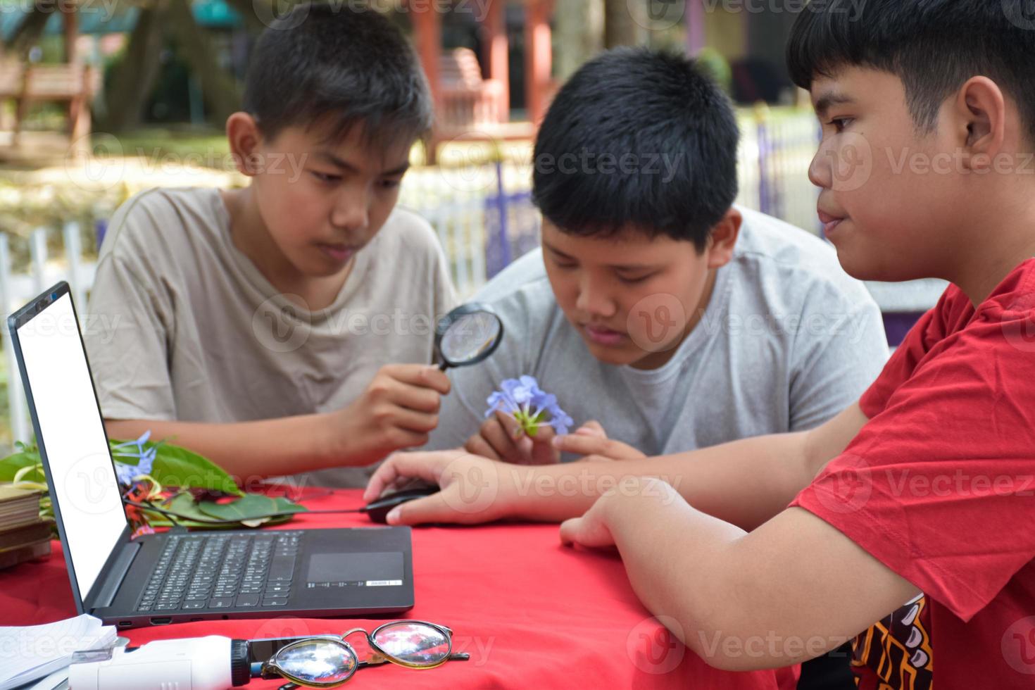 Young Asian boys doing homework and do the reports about various species of tropical forests by using laptops, magnifiers, notebooks, pocket binoculars and tablets, mockup laptop concept. photo