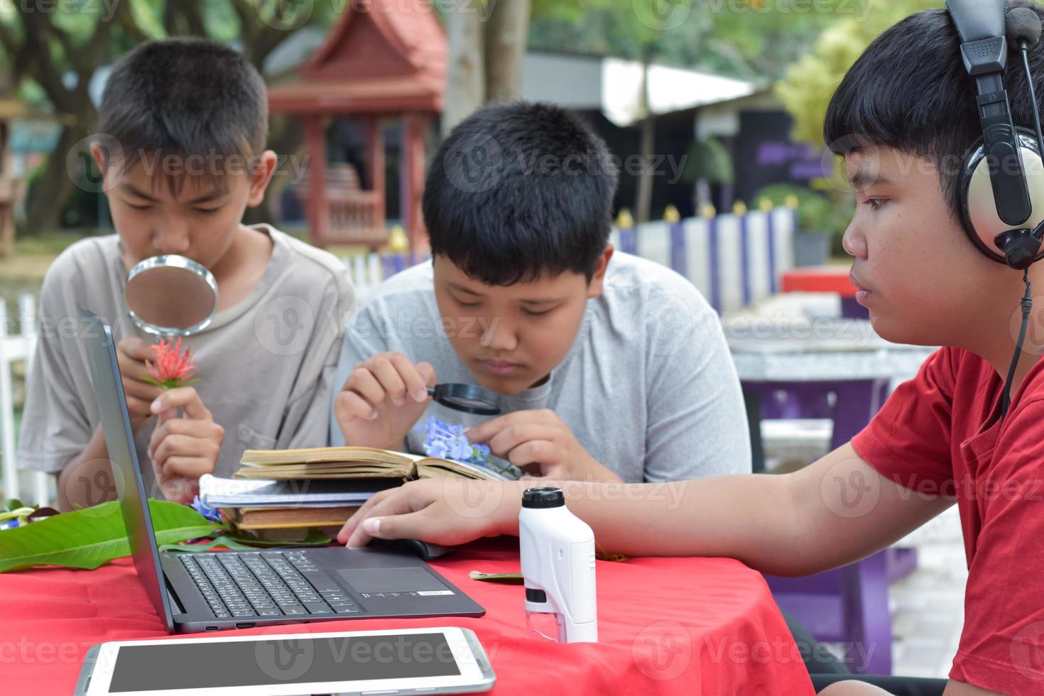 Young Asian boys doing homework and do the reports about various species of tropical forests by using laptops, magnifiers, notebooks, pocket binoculars and tablets, mockup laptop concept. photo