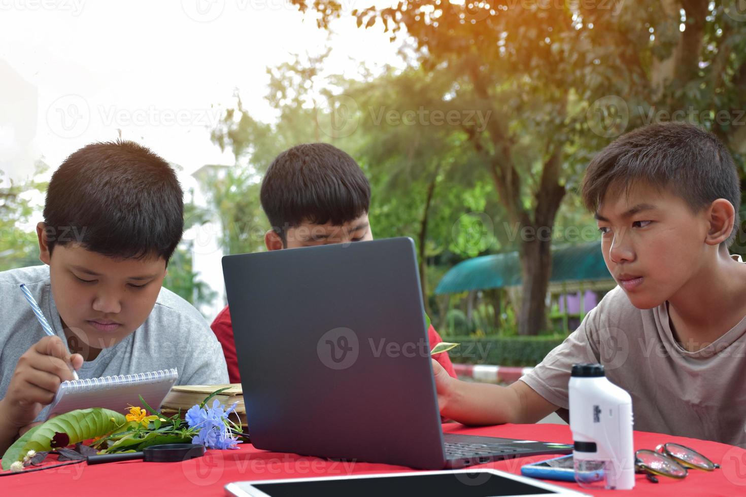 Young Asian boys doing homework and do the reports about various species of tropical forests by using laptops, magnifiers, notebooks, pocket binoculars and tablets, mockup laptop concept. photo