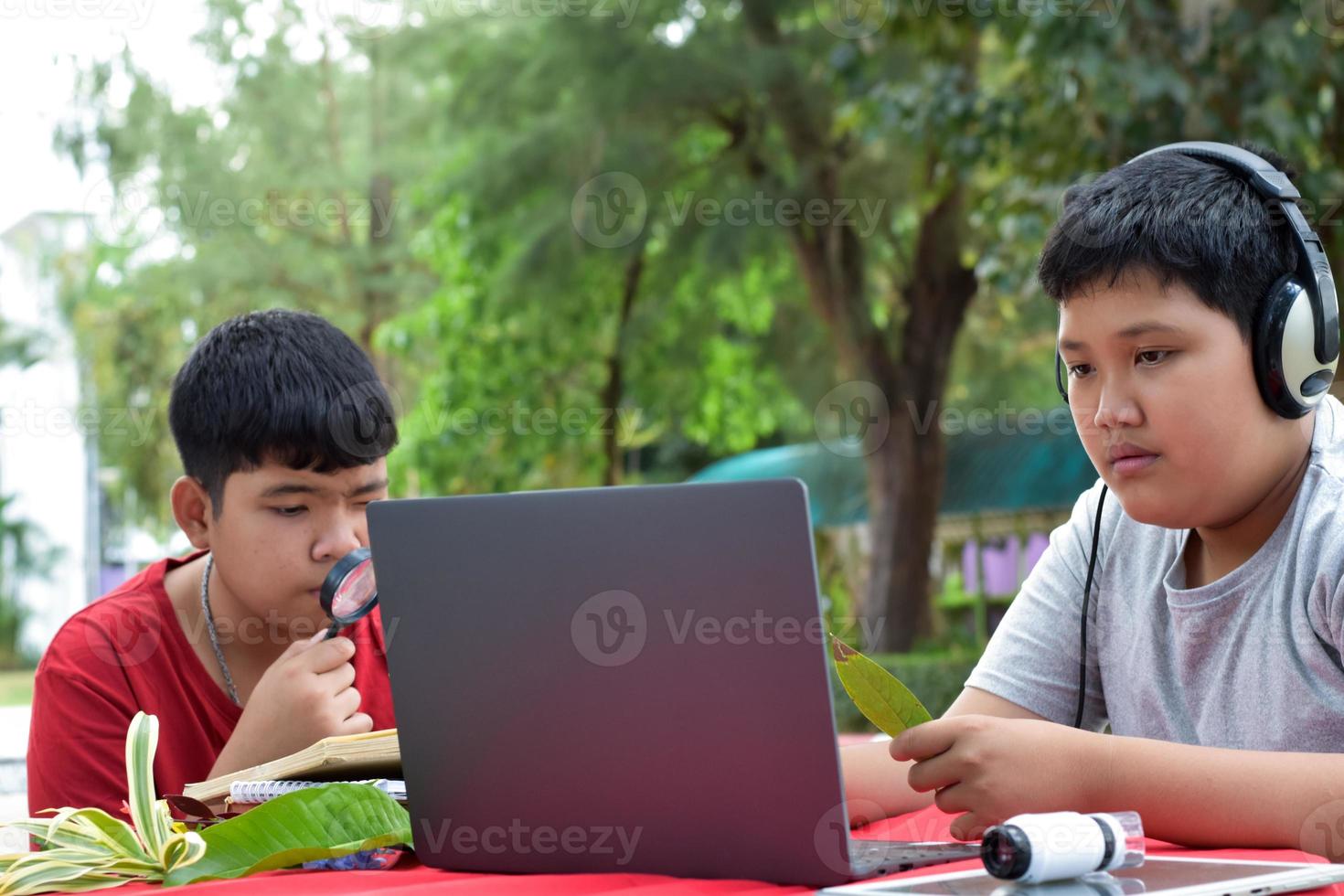 Young Asian boys doing homework and do the reports about various species of tropical forests by using laptops, magnifiers, notebooks, pocket binoculars and tablets, mockup laptop concept. photo