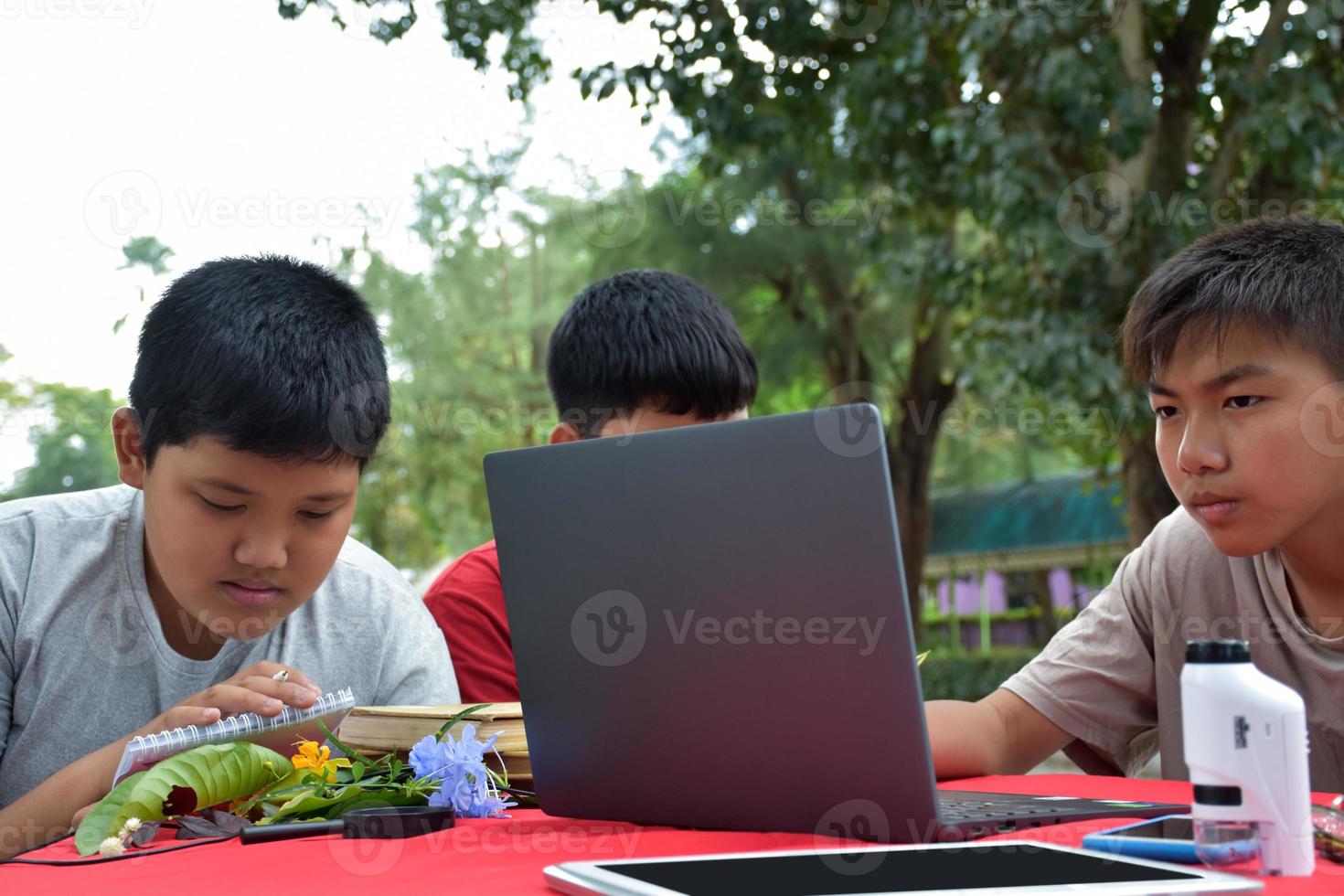 Young Asian boys doing homework and do the reports about various species of tropical forests by using laptops, magnifiers, notebooks, pocket binoculars and tablets, mockup laptop concept. photo
