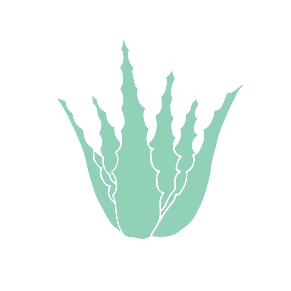 Vector hand drawn doodle aloe
