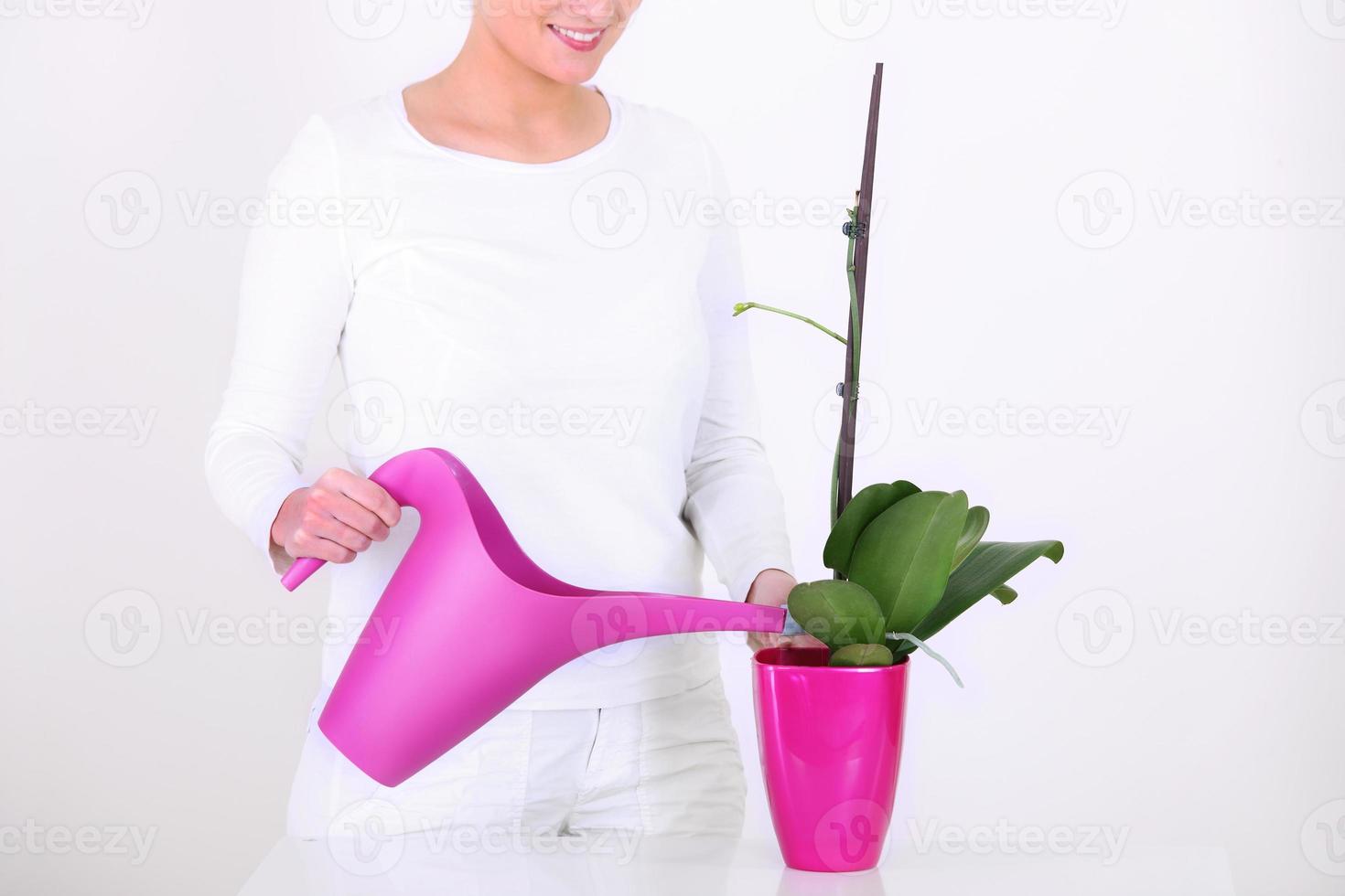 Woman watering plants photo