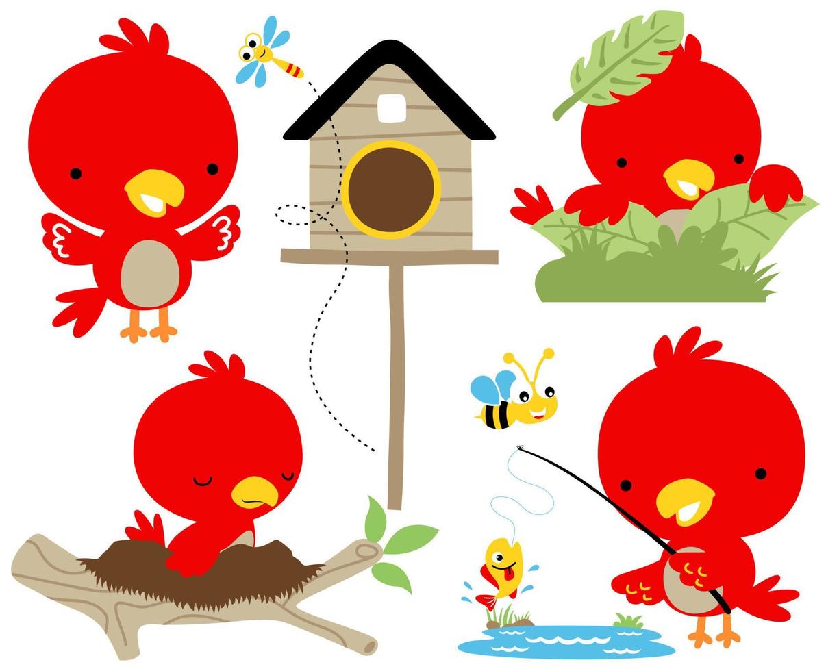 Vector set of red bird cartoon illustration in different activity