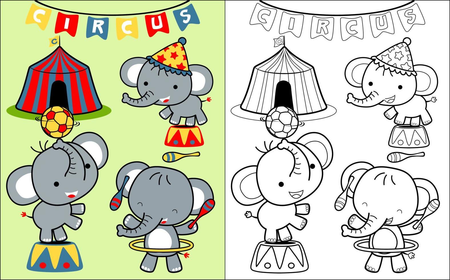 Coloring book vector with elephant cartoon in circus show