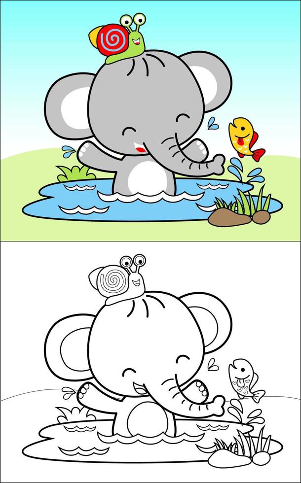 Coloring book vector of cute elephant with snail and fish in swamp