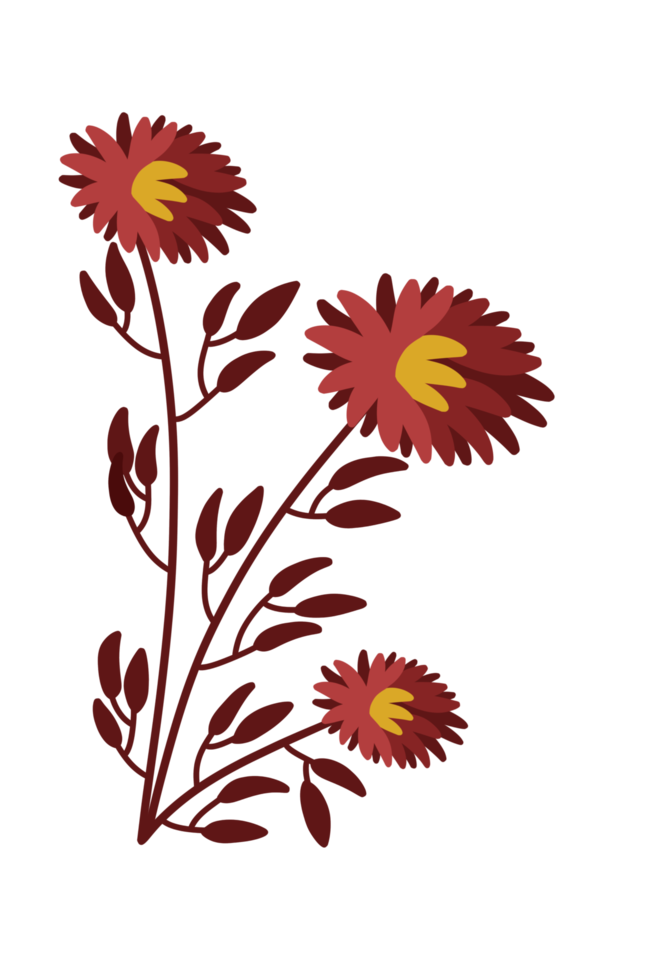 decoratief esthetisch bloem ornament gemakkelijk png