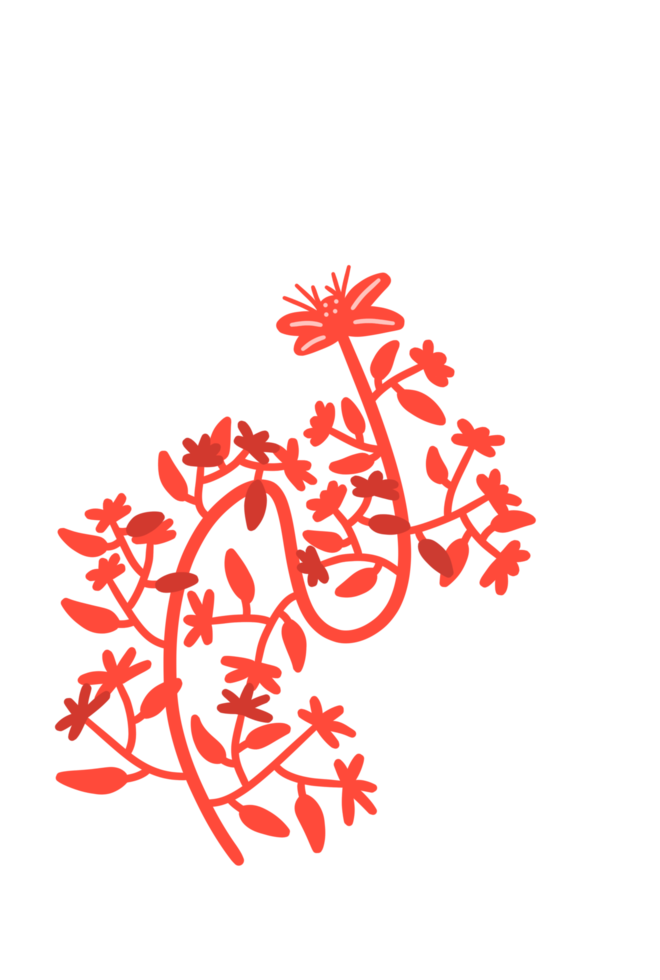 Decorative Aesthetic Flower Ornament Simple png