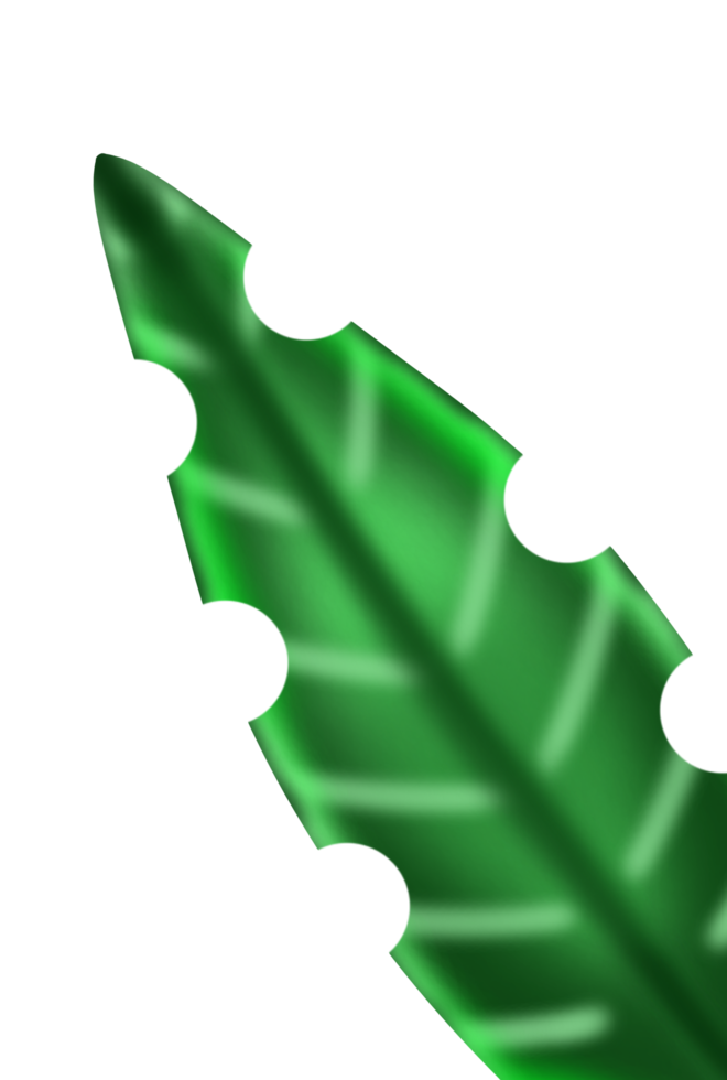 Decorative Aesthetic Leaf Ornament Element png