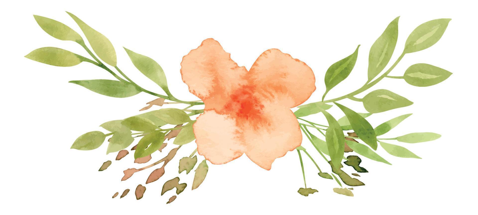 Watercolor abstract orange Flower with green leaves. Hand drawn illustration of floral bouquet for greeting cards or wedding invitations. Botanical drawing on isolated background. Vintage sketch vector