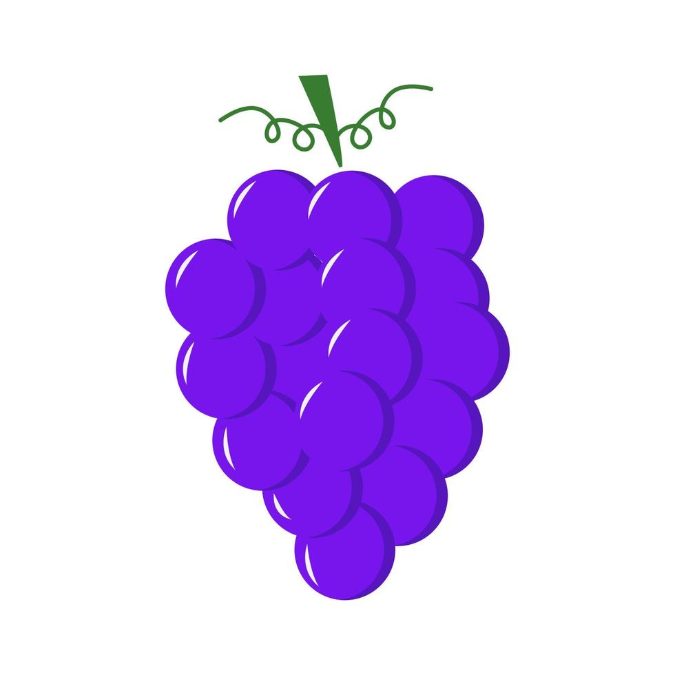 Grapes vector illustration. Flat grapes isolated.