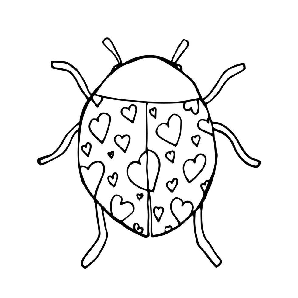 Doodle ladybird with hearts print. Cute lovely insect isolated. vector