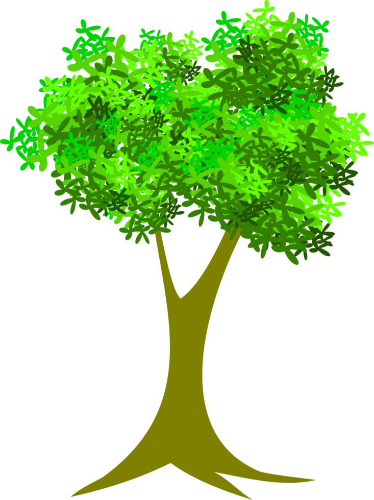 tree png, forest png