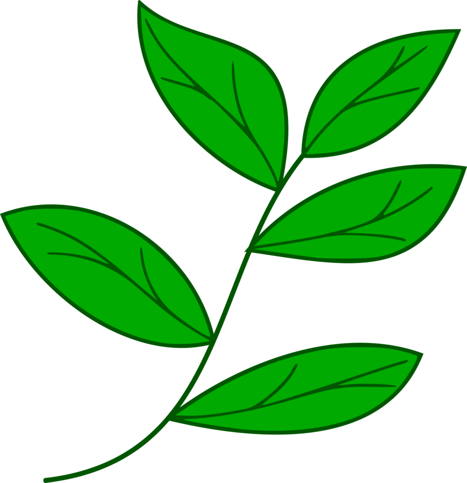 doodle leaf png. floral leaves png