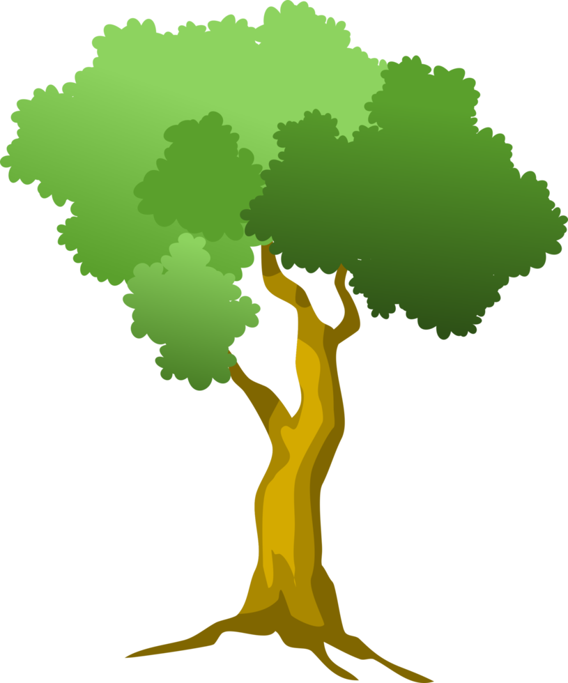 tree png, cartoon tree png