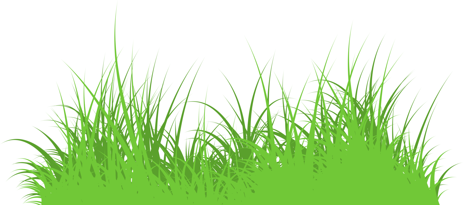 Gras png. Wildes Gras isoliert png