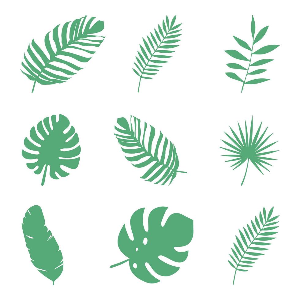 Set of twigs, natural plants vector