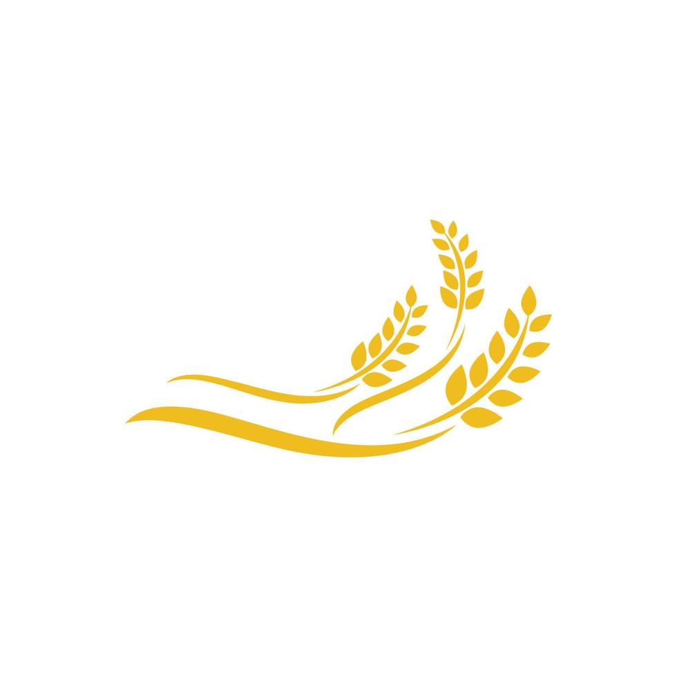 Agriculture wheat vector