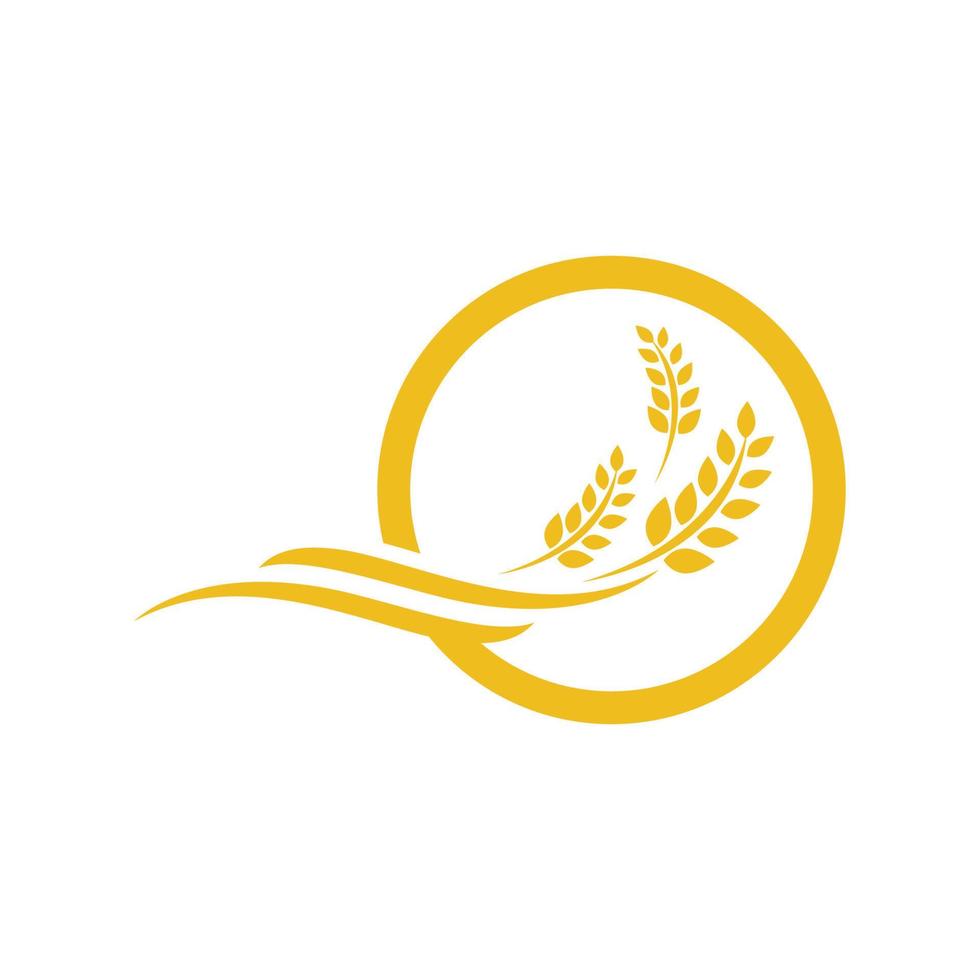 Agriculture wheat vector