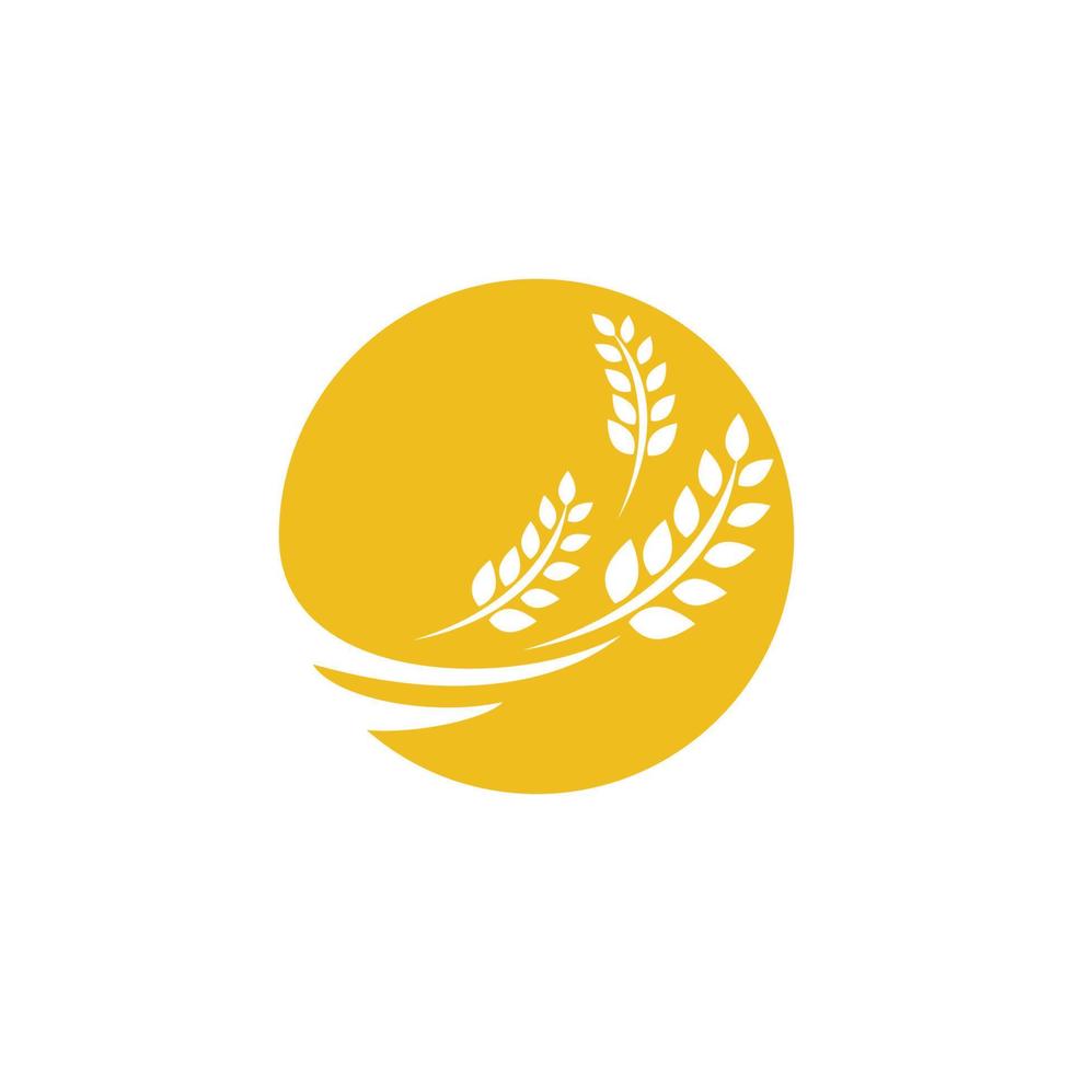 Agriculture wheat vector
