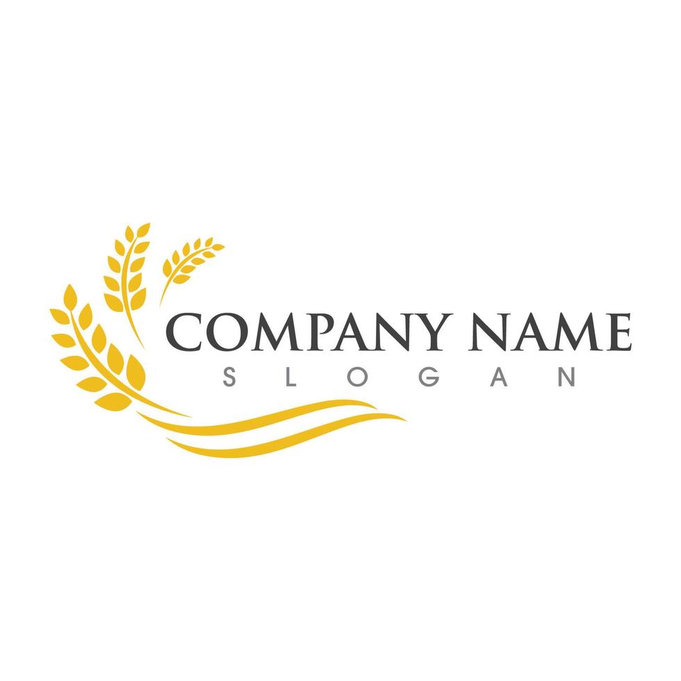 Agriculture wheat vector