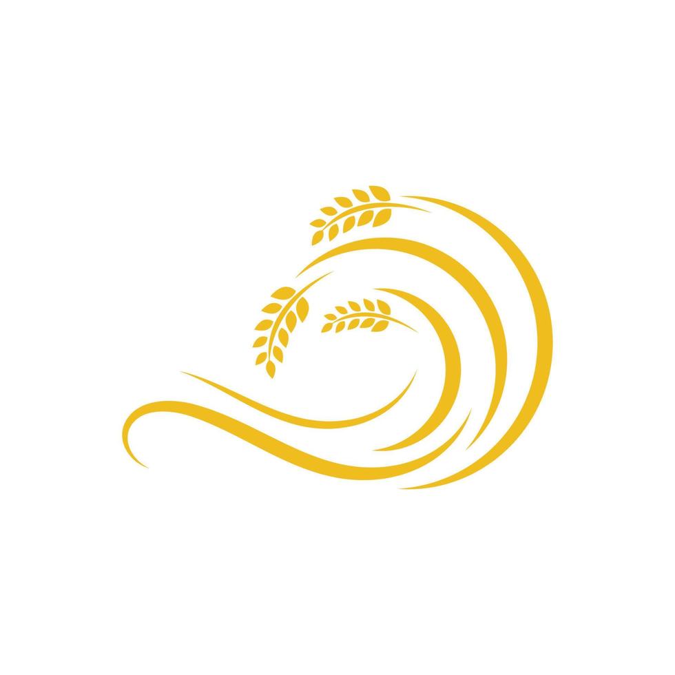 Agriculture wheat vector