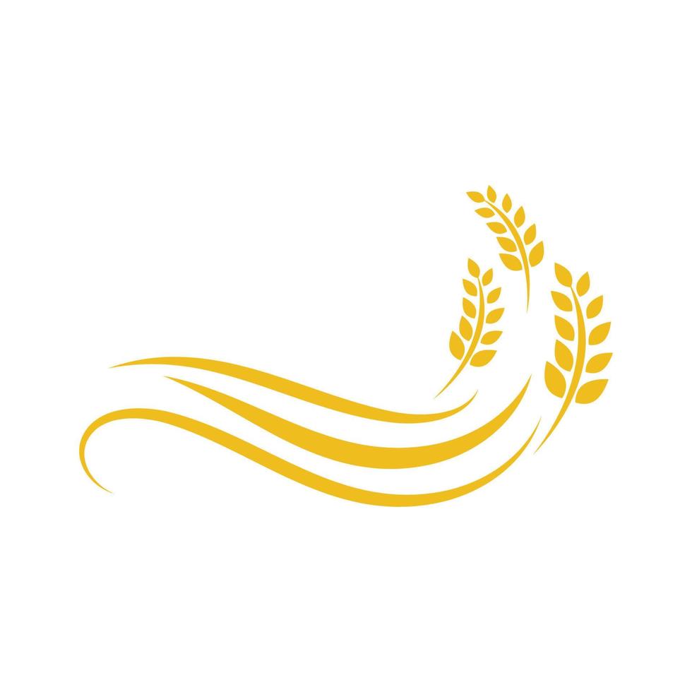 Agriculture wheat vector