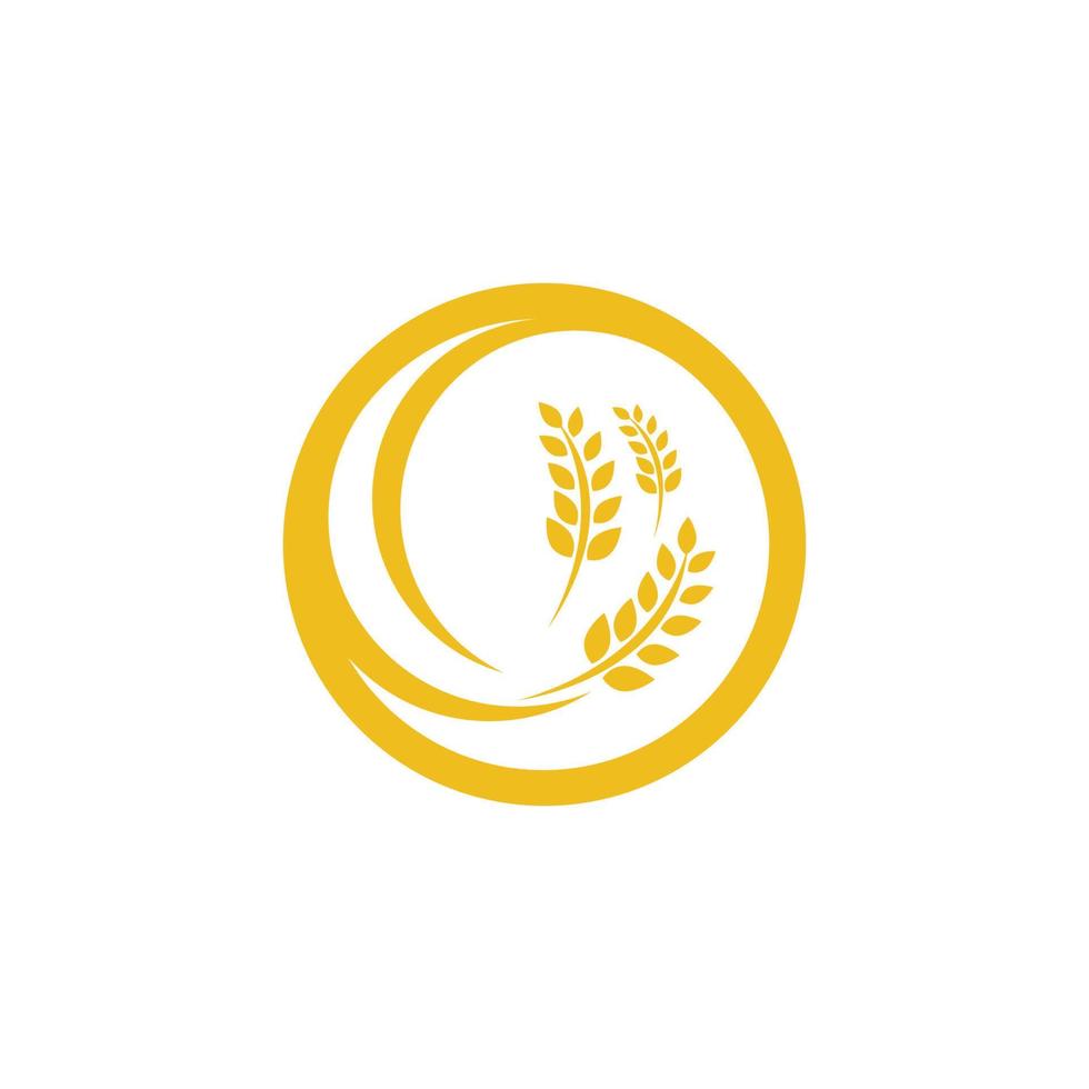 Agriculture wheat vector