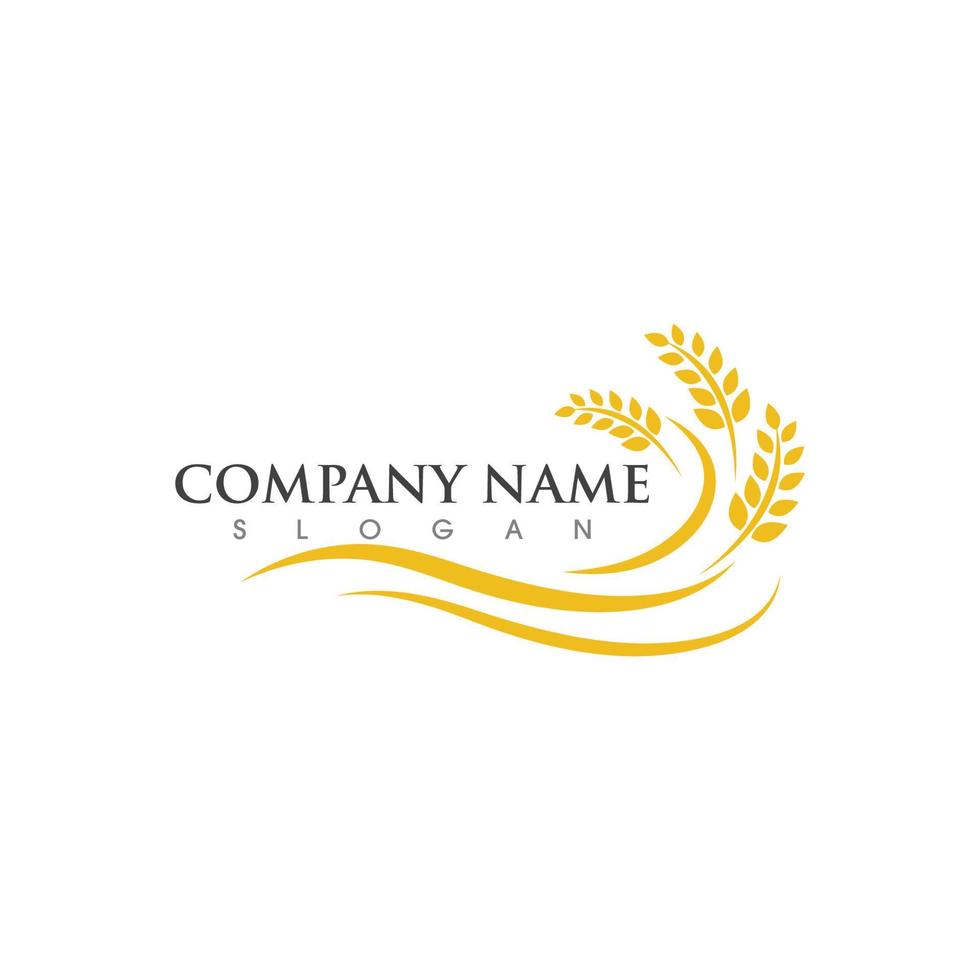 Agriculture wheat vector