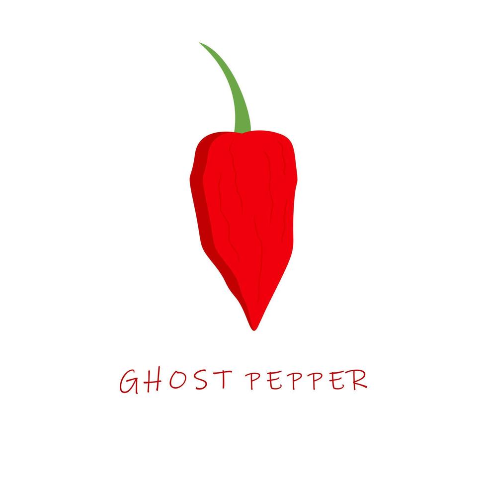 Ilustración de vector de diseño plano de pimienta fantasma. chile fantasma capsicum chinense.