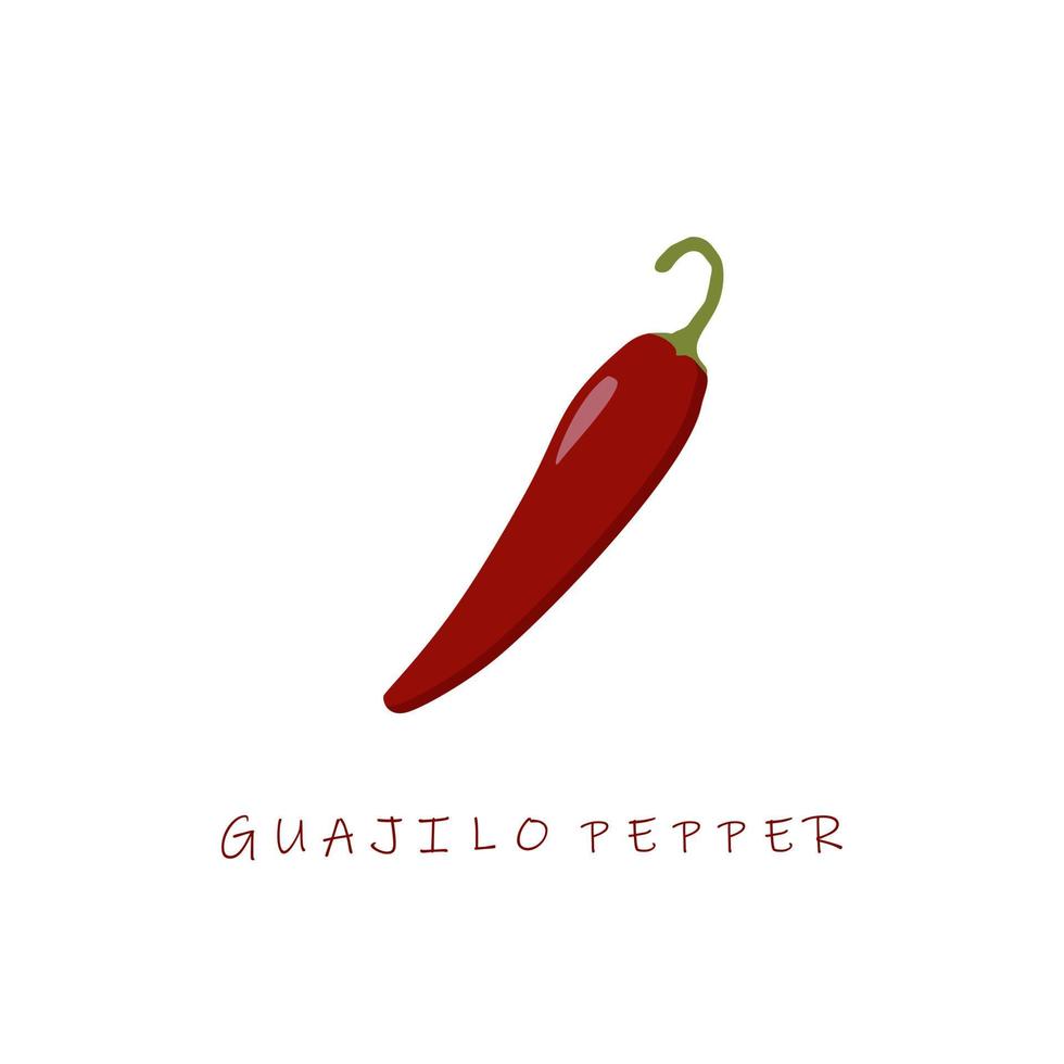 Ilustración de vector de diseño plano de chile guajilo